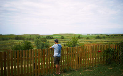 How to Choose the Right Fence for Your Property