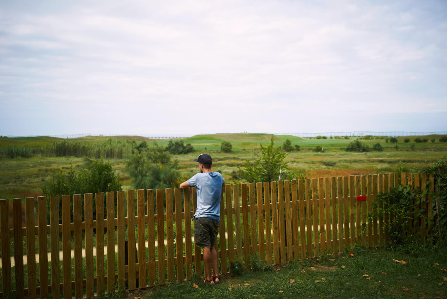 Side-by-side examples of wood, vinyl, and ornamental fencing styles installed by 613 Fencing Inc., helping homeowners visualize their options.